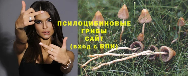 гидра Зеленодольск