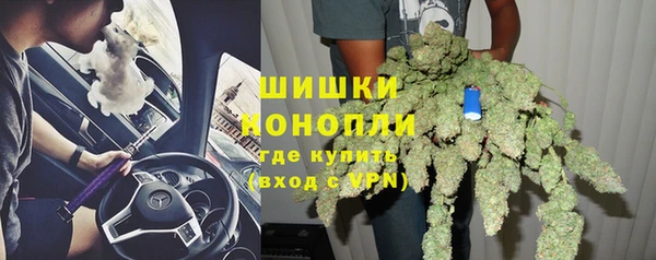 гидра Зеленодольск