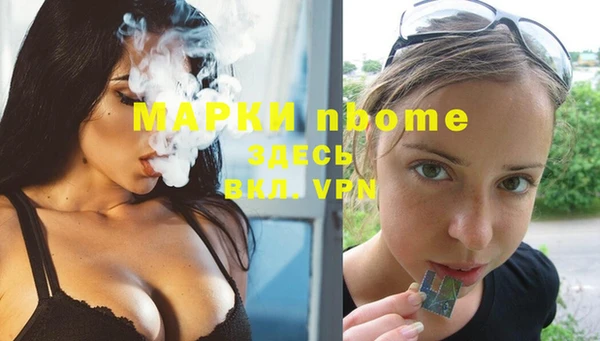гидра Зеленодольск